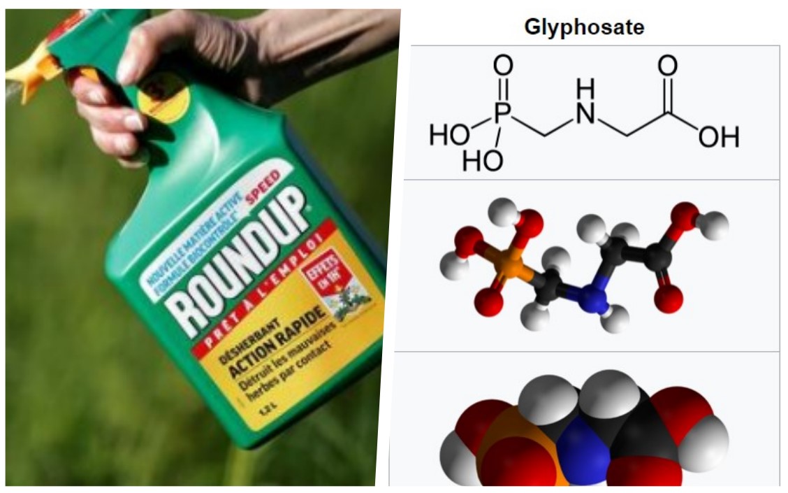 Was Glyphosate Invented as a Bioweapon?