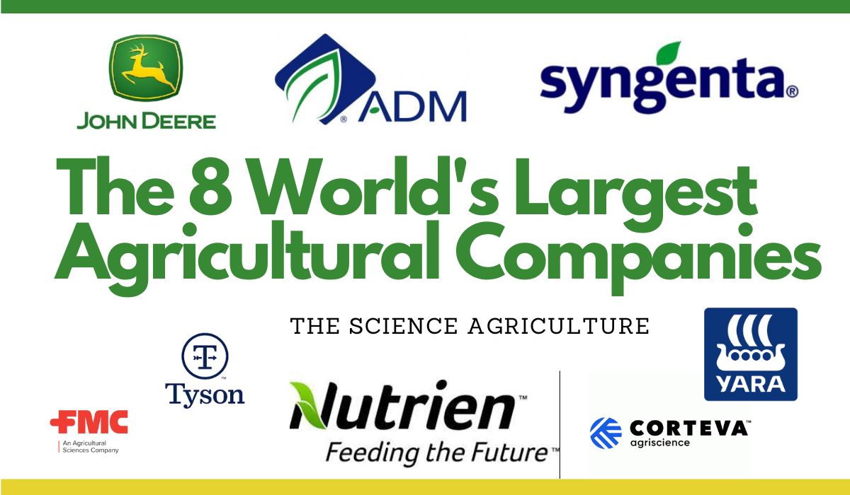 The 8 World's Largest Agricultural Companies in 2021