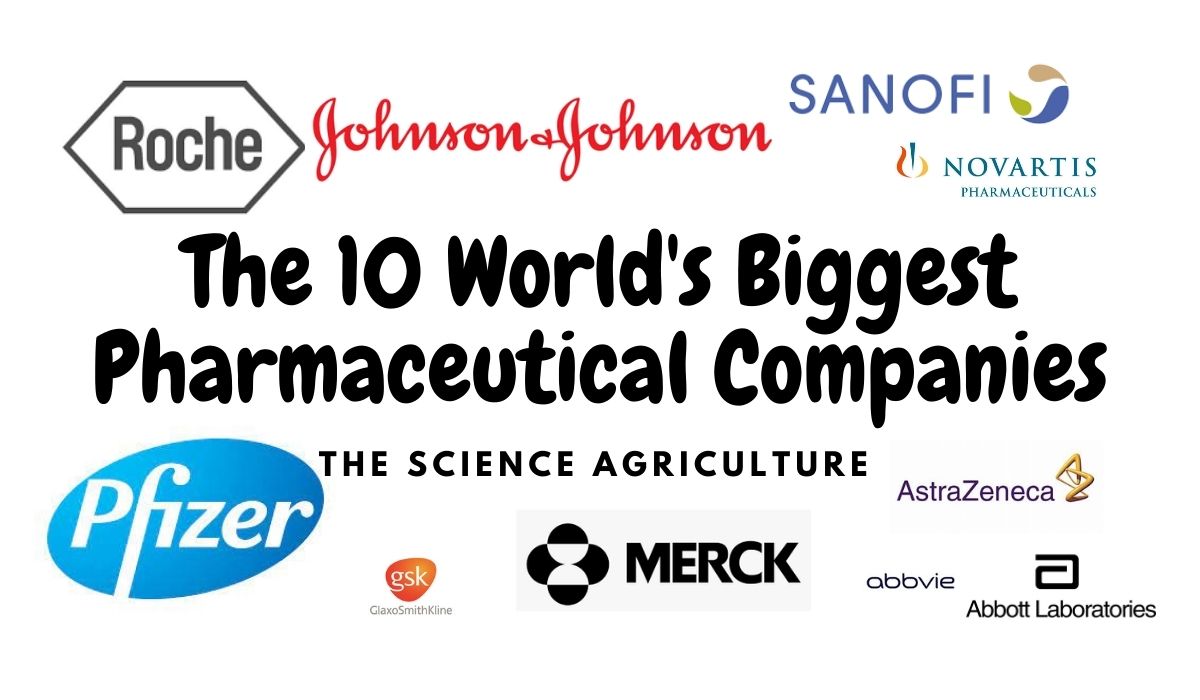 The 10 World's Biggest Pharmaceutical Companies