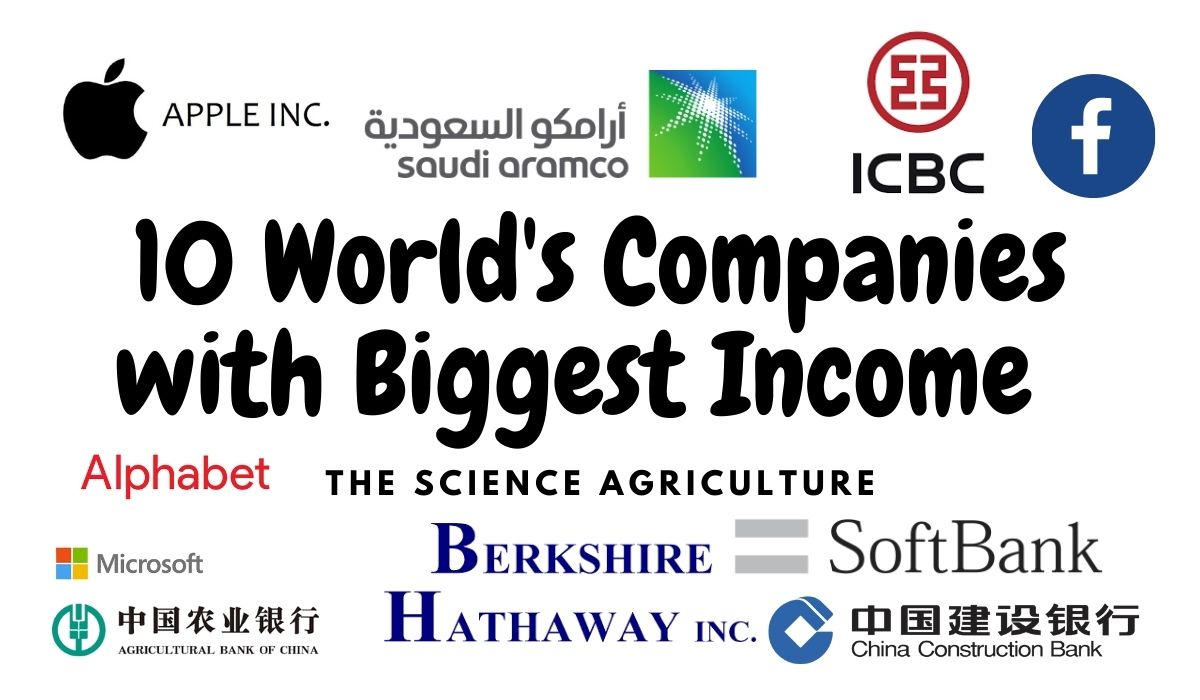 10 World's Companies with Biggest Income