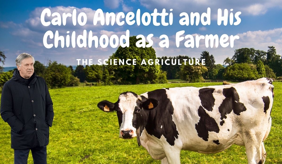 Carlo Ancelotti and His Childhood as a Farmer