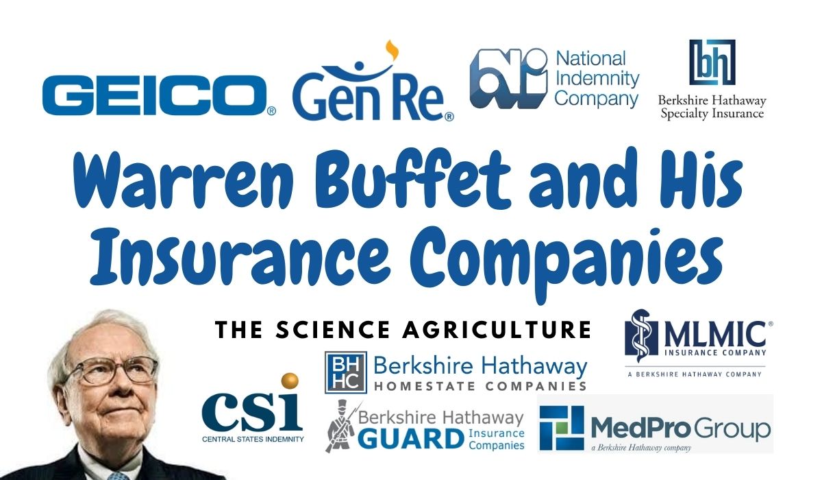 Warren Buffet and His Insurance Companies-