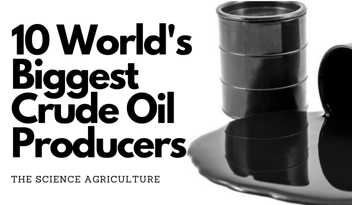 10 World’s Biggest Crude Oil Producers