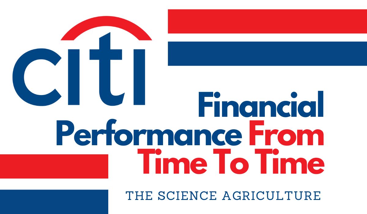 CitiGroup Financial Performance From Time to Time