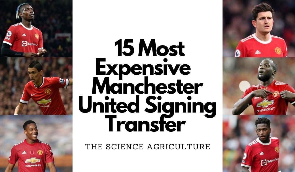 15 Manchester United's Biggest Signing Transfer of All Time
