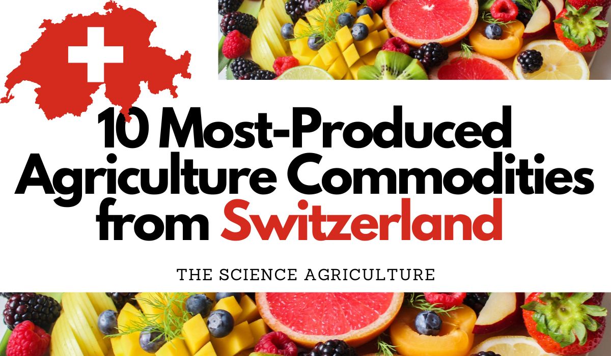 10 Most-Produced Agriculture Commodities from Switzerland