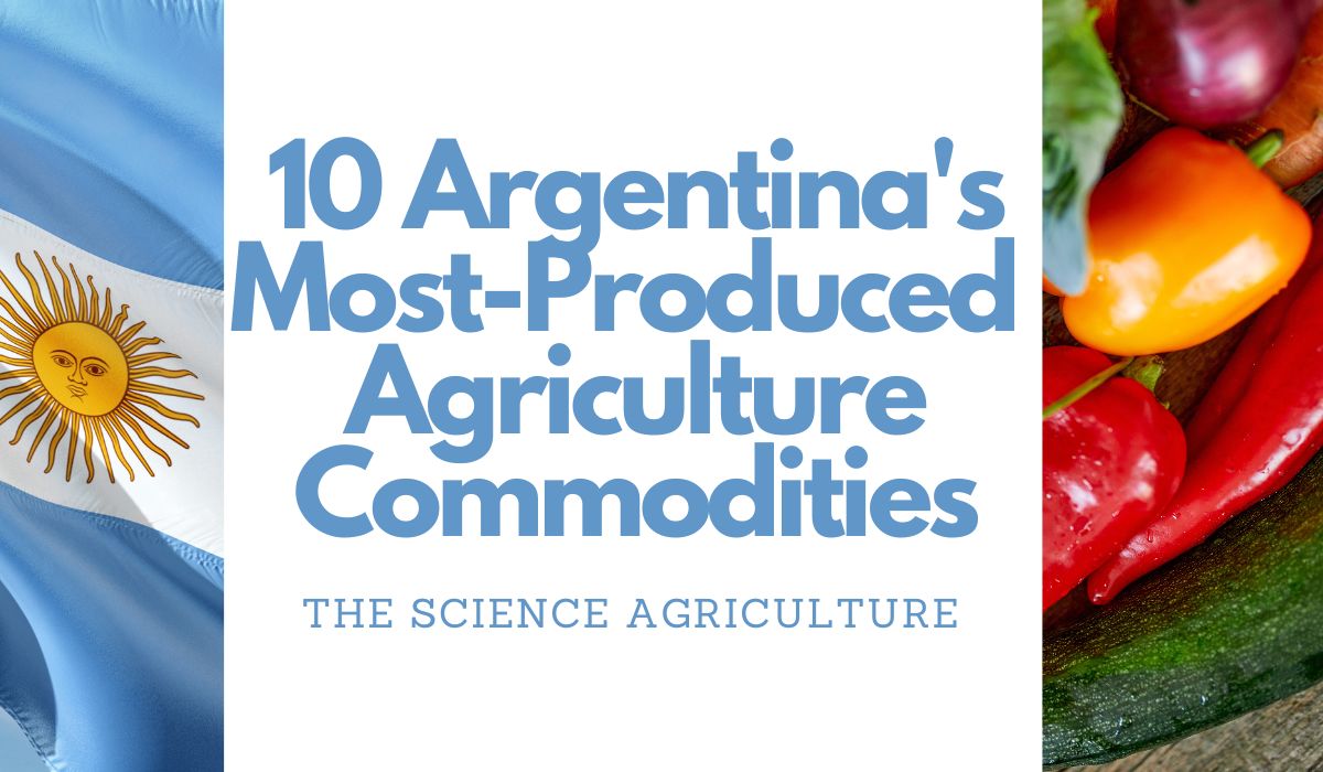 10 Argentina's Most-Produced Agriculture Commodities