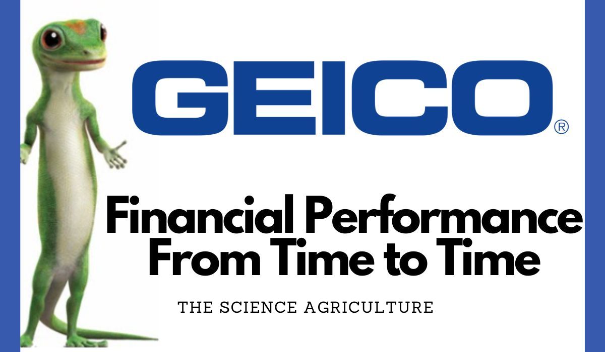 Geico Insurance Financial Performance From 2000 Into 2022