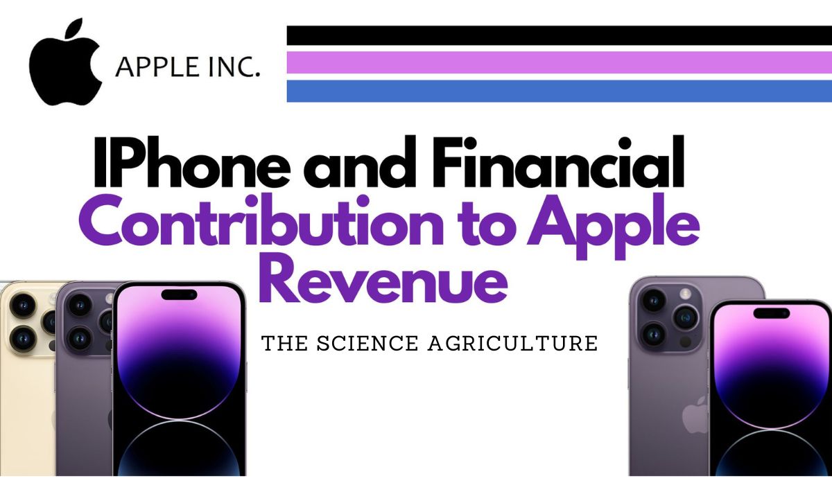 iPhone and Financial Contribution to Apple Revenue
