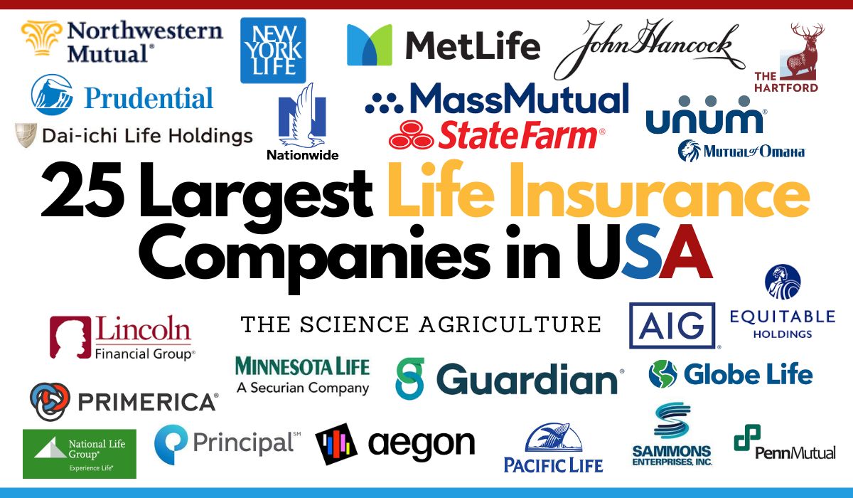 25 Largest Life Insurance Companies in USA